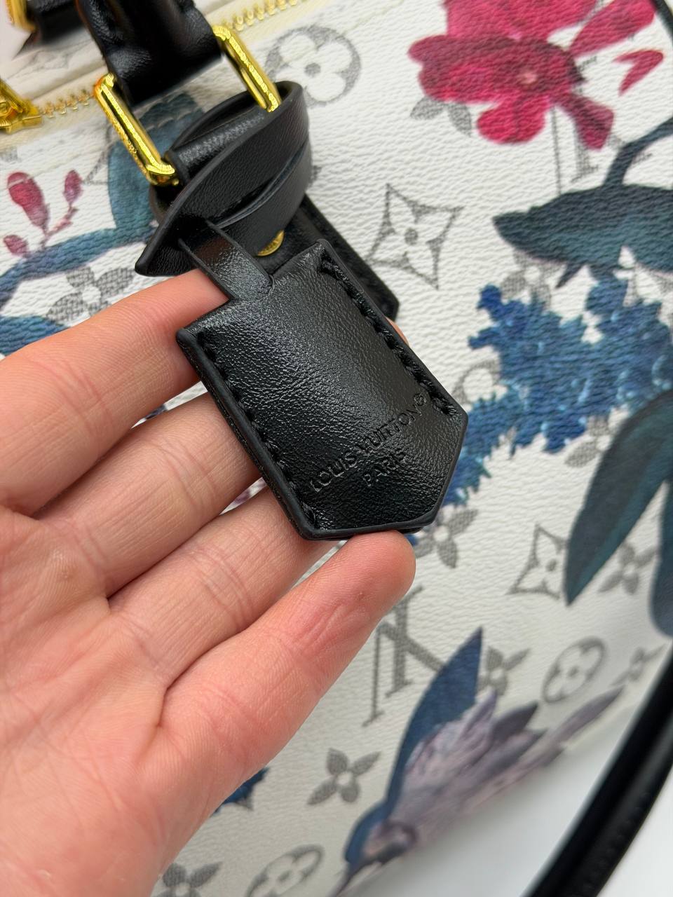 Сумка Louis Vuitton 6