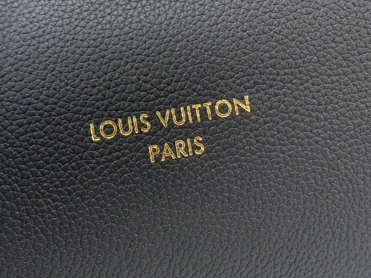 Сумка Louis Vuitton 6