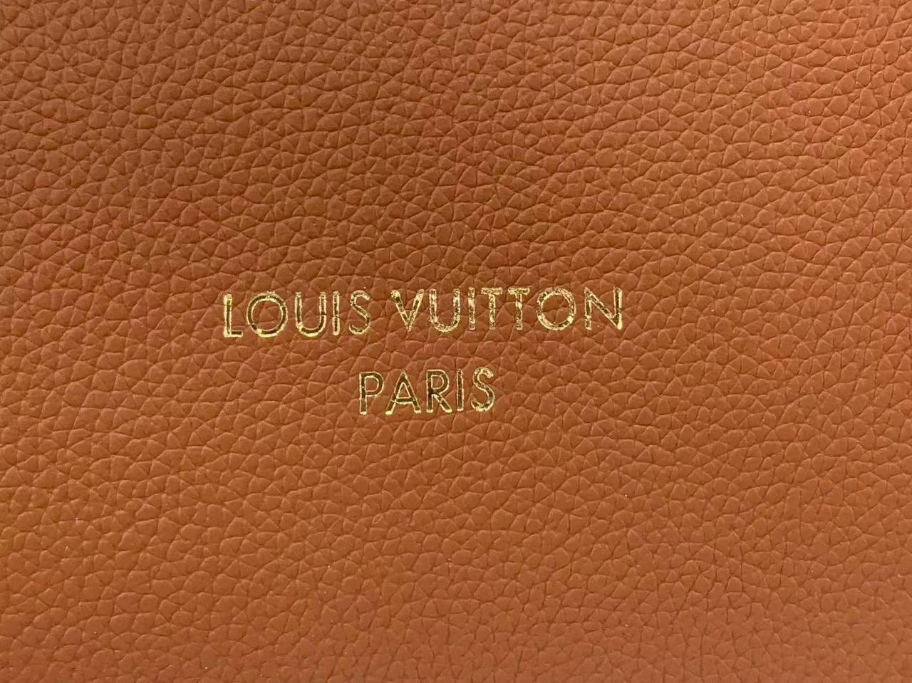 Сумка Louis Vuitton 5