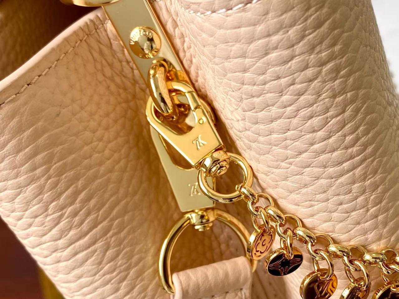 Сумка Louis Vuitton 5