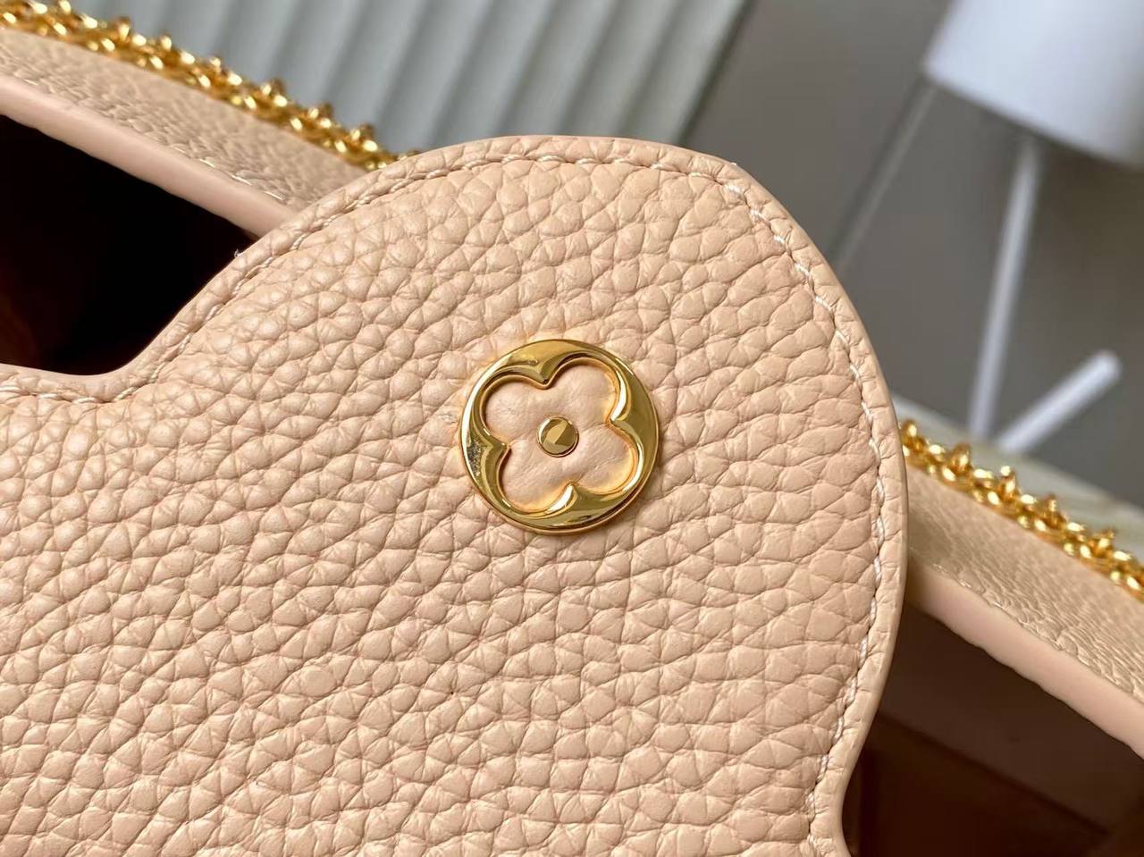 Сумка Louis Vuitton 6