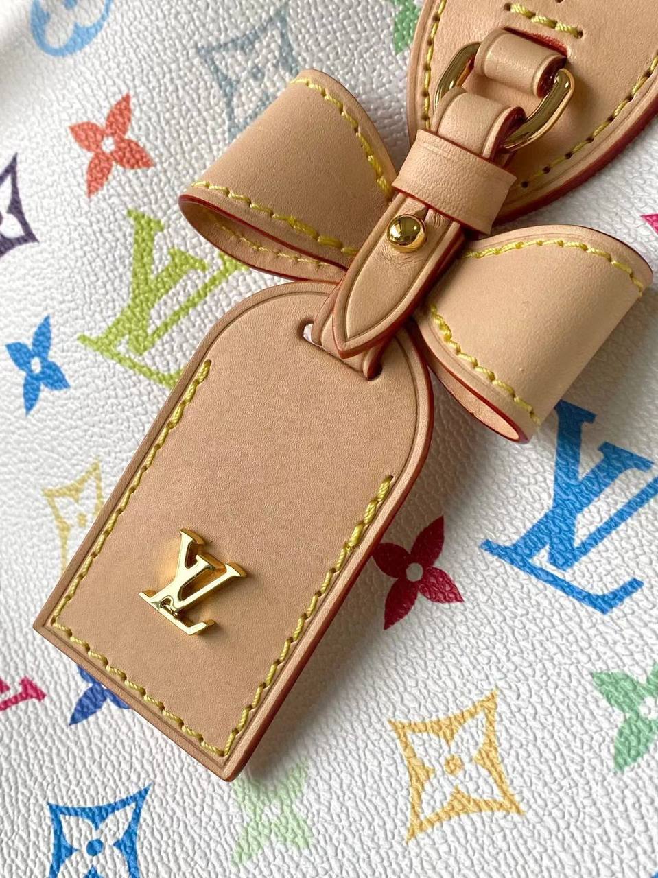 Сумка Louis Vuitton 5