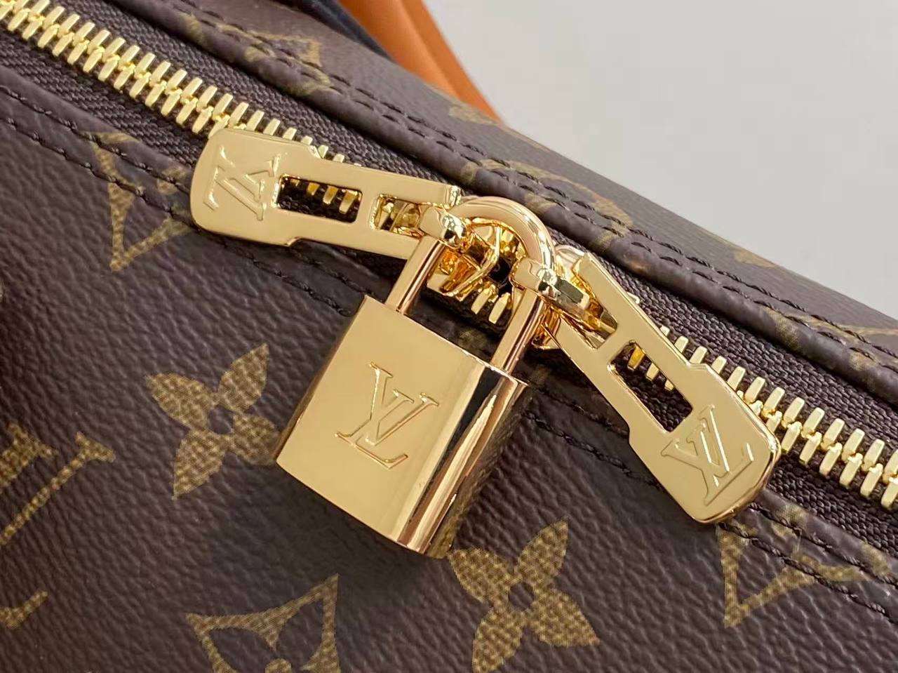 Сумка Louis Vuitton 6