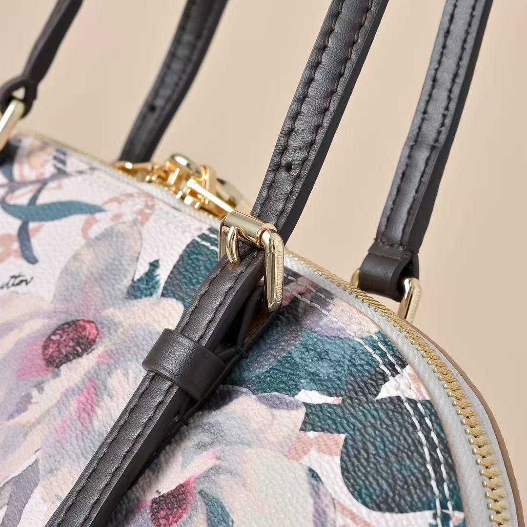 Сумка Louis Vuitton 4
