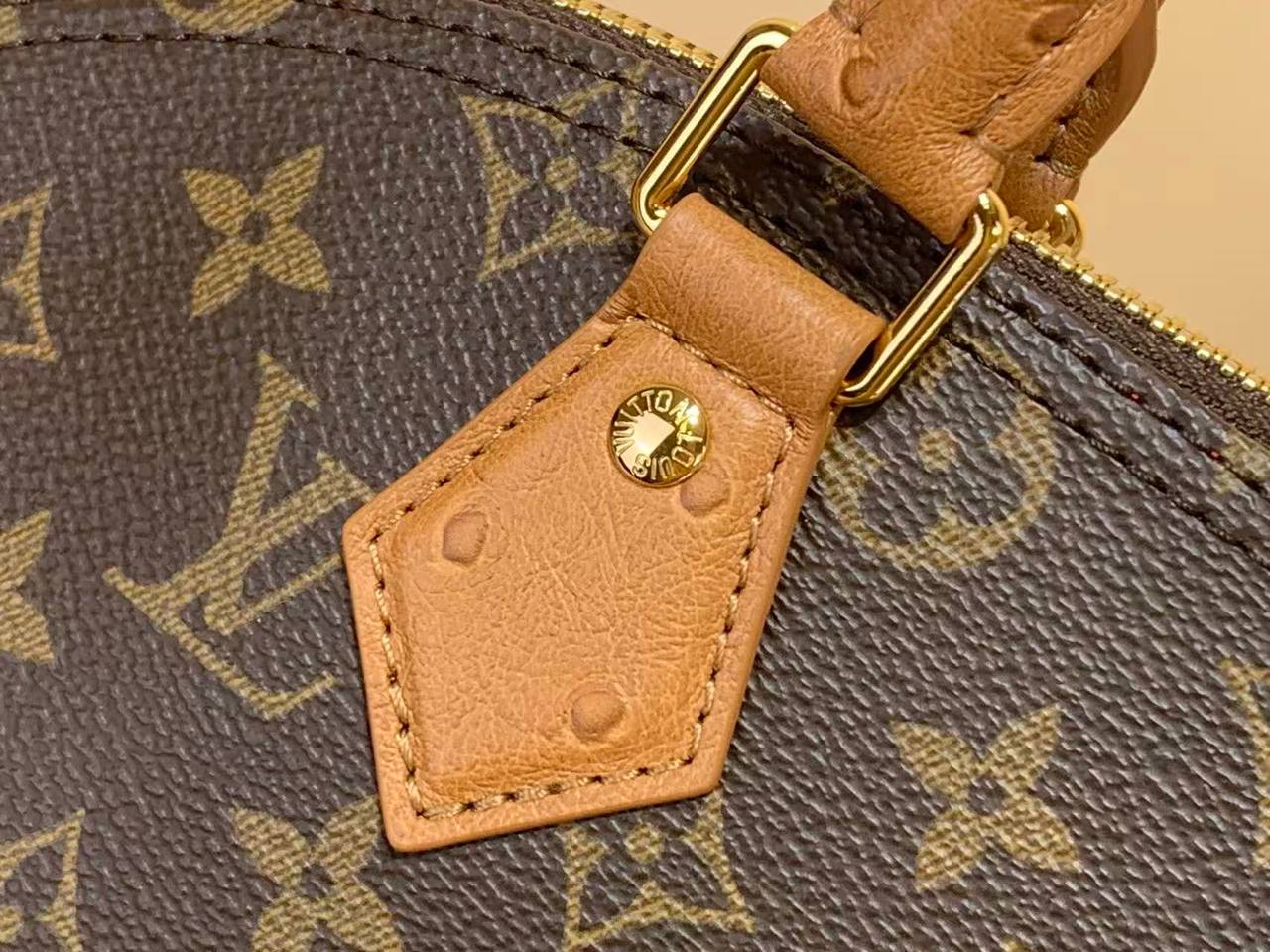 Сумка Louis Vuitton 6