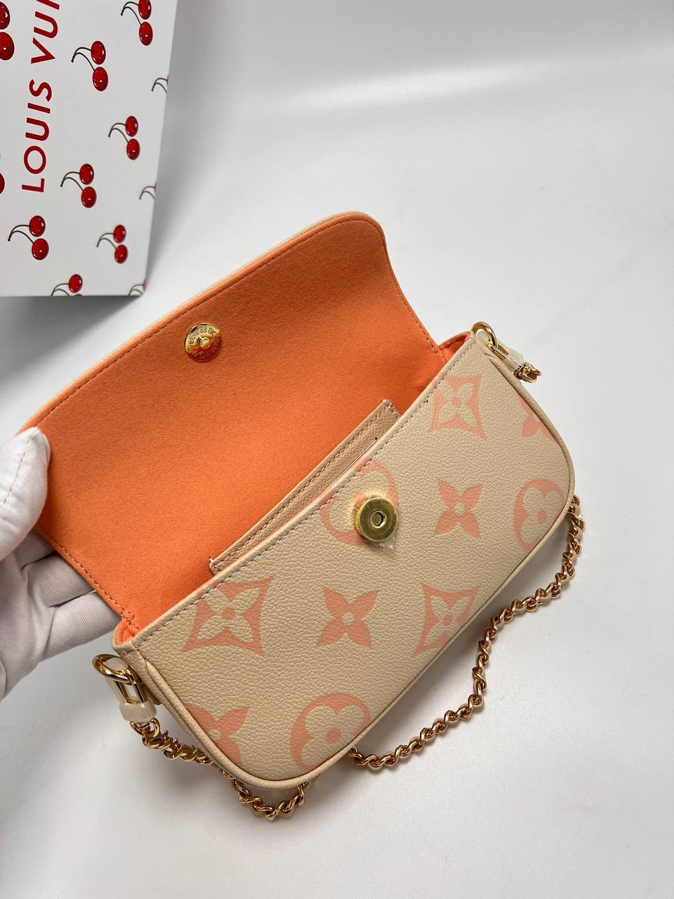 Сумка Louis Vuitton 5