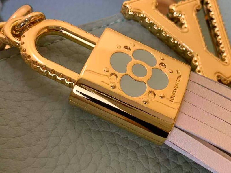 Сумка Louis Vuitton 5