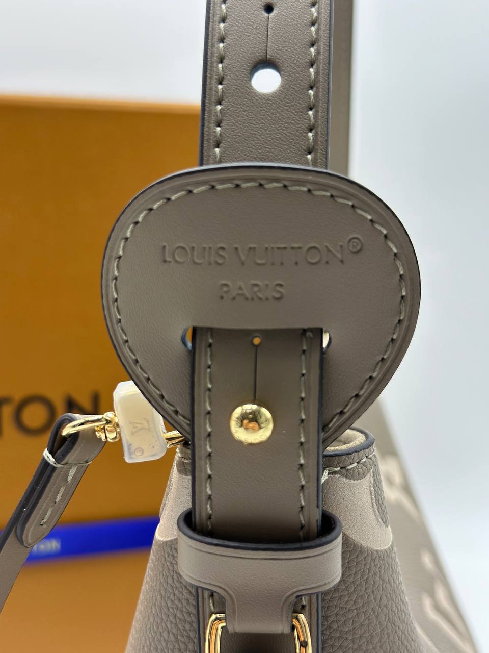 Сумка Louis Vuitton 6