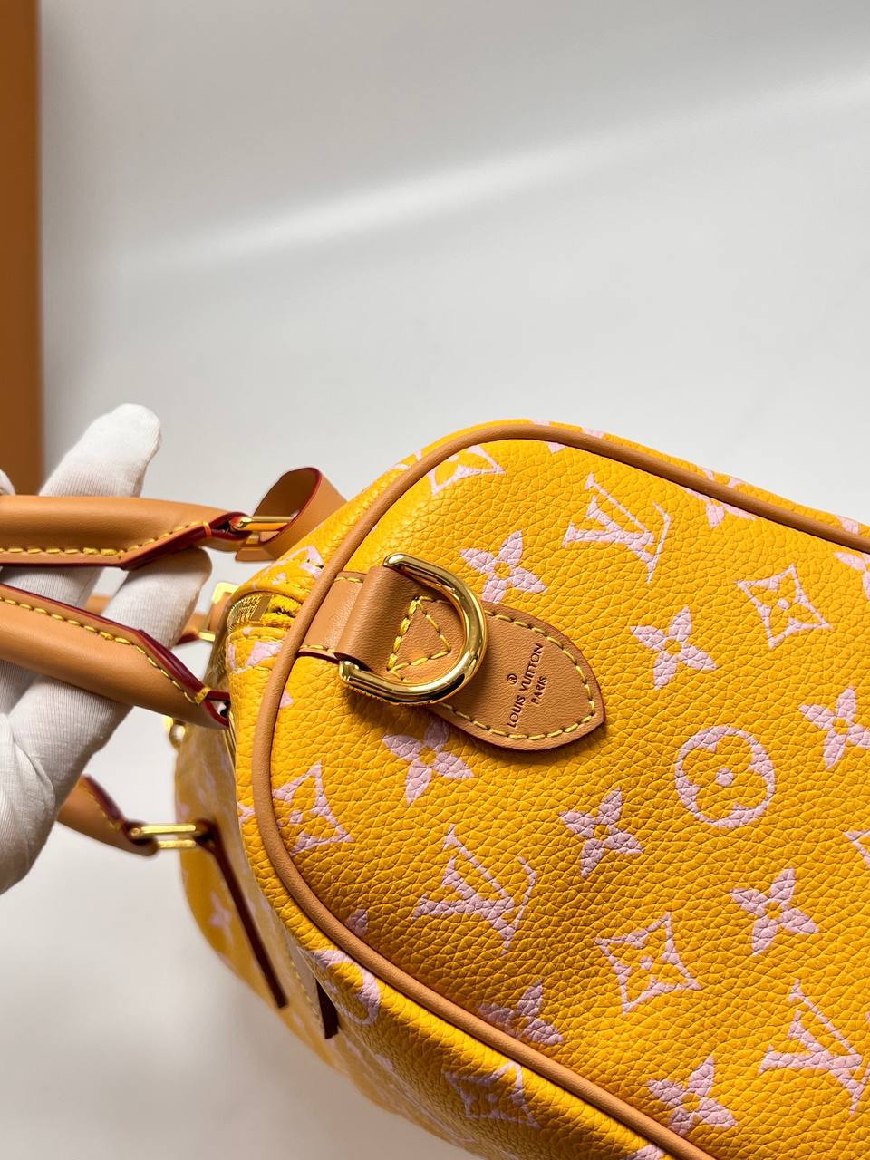Сумка Louis Vuitton 12