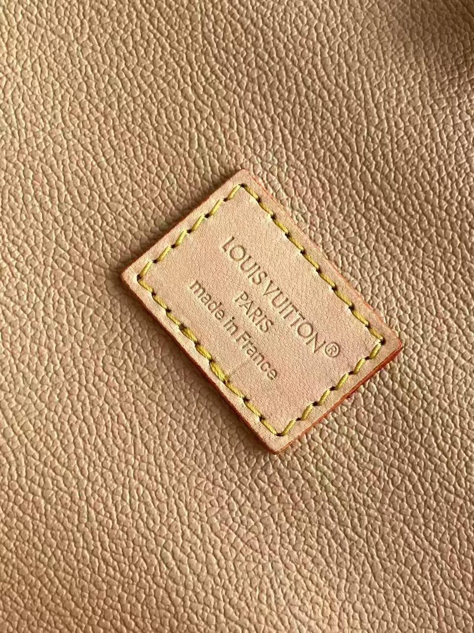 Сумка Louis Vuitton 9