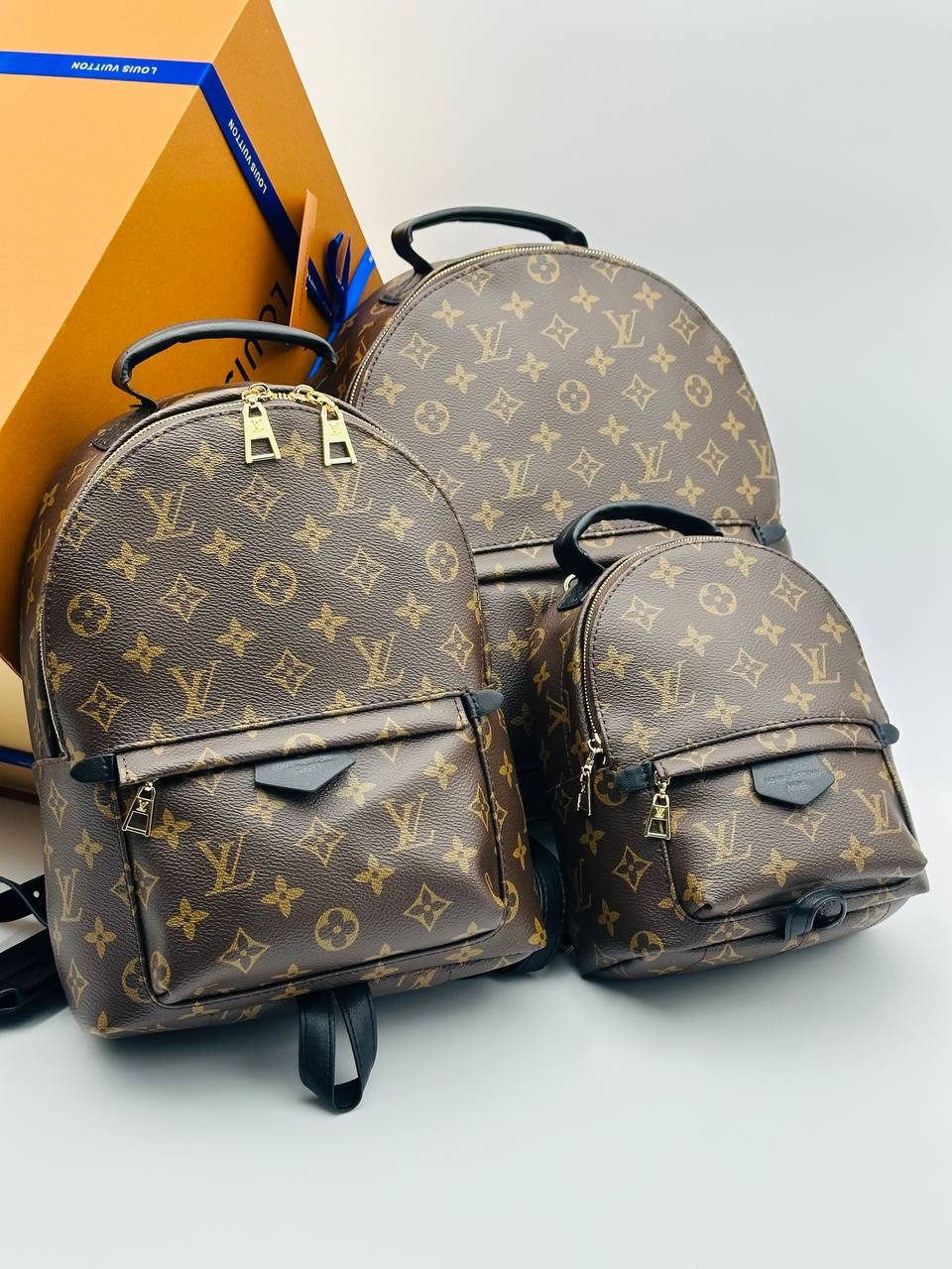 Рюкзак Louis Vuitton 8