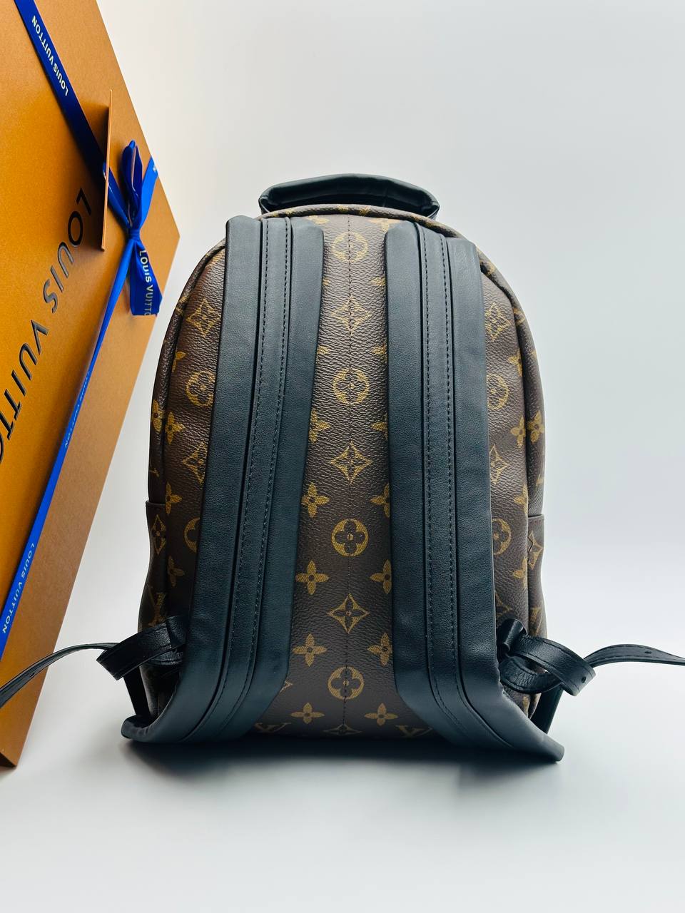 Рюкзак Louis Vuitton 3