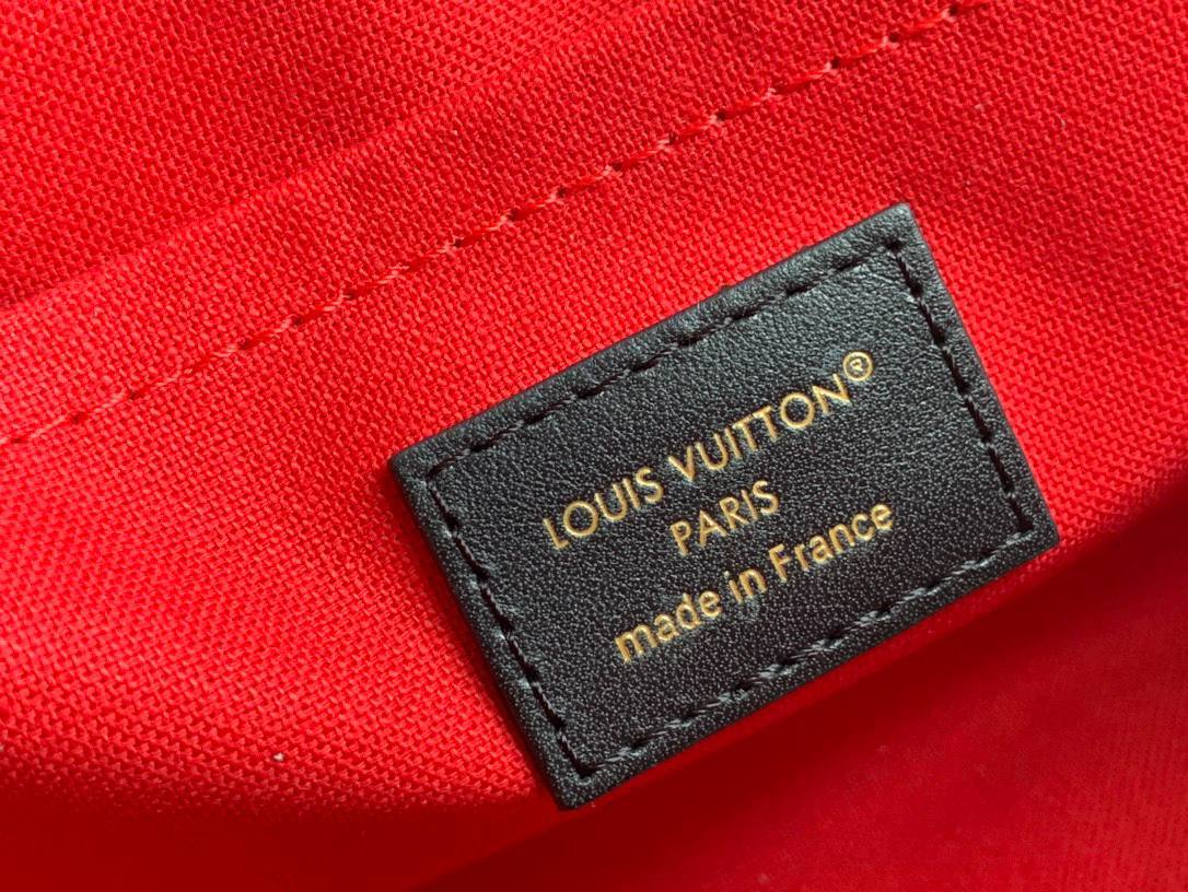Сумка Louis Vuitton 9