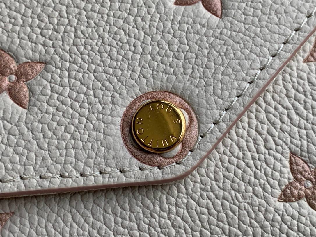 Сумка Louis Vuitton 6
