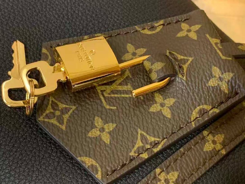 Сумка Louis Vuitton 5