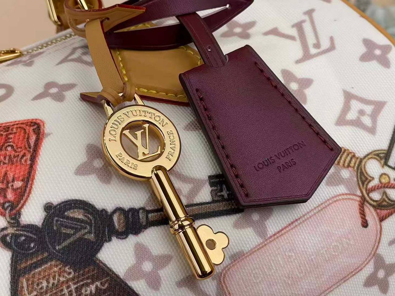 Сумка Louis Vuitton 6