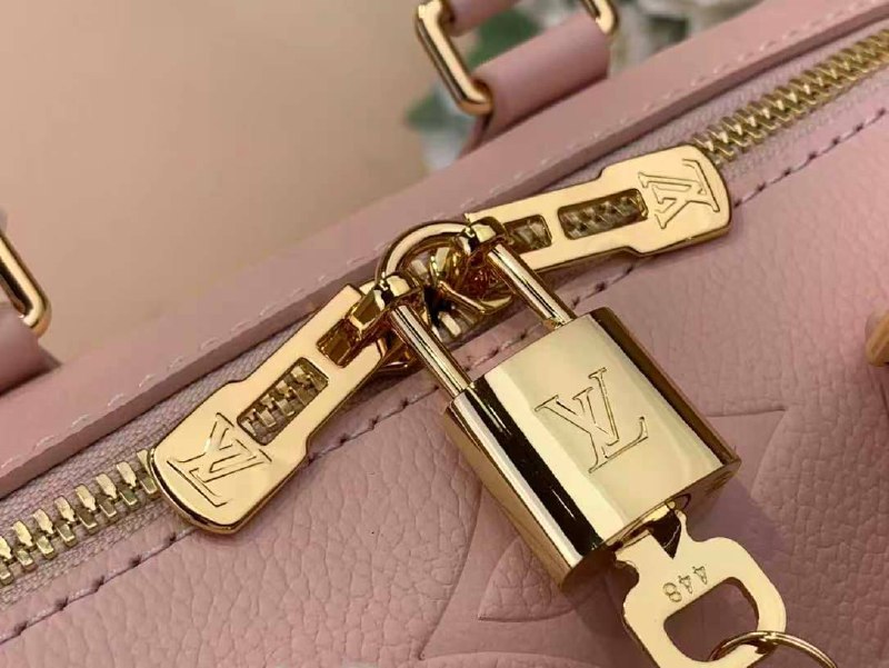 Сумка Louis Vuitton 5