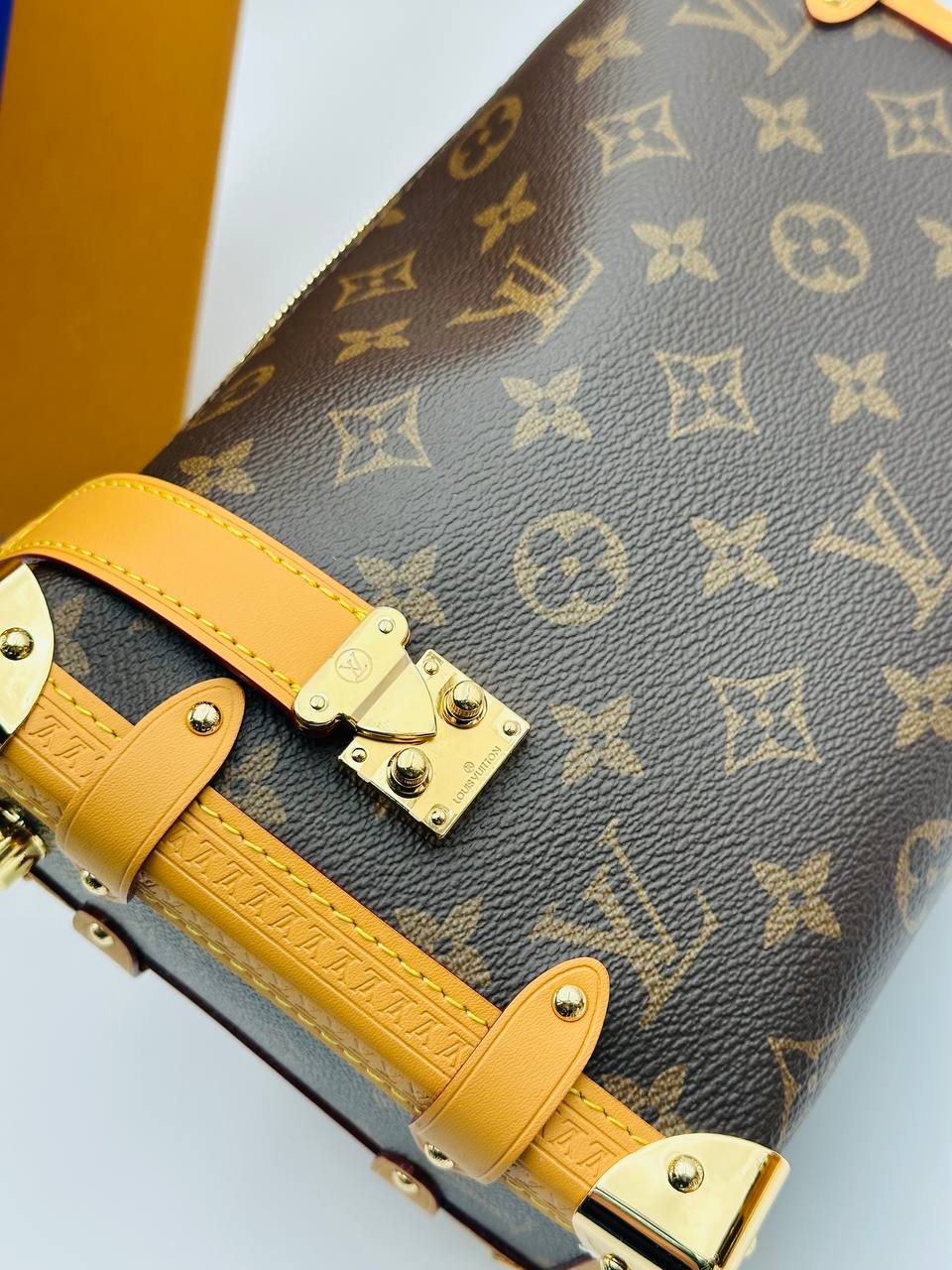 Сумка Louis Vuitton 6