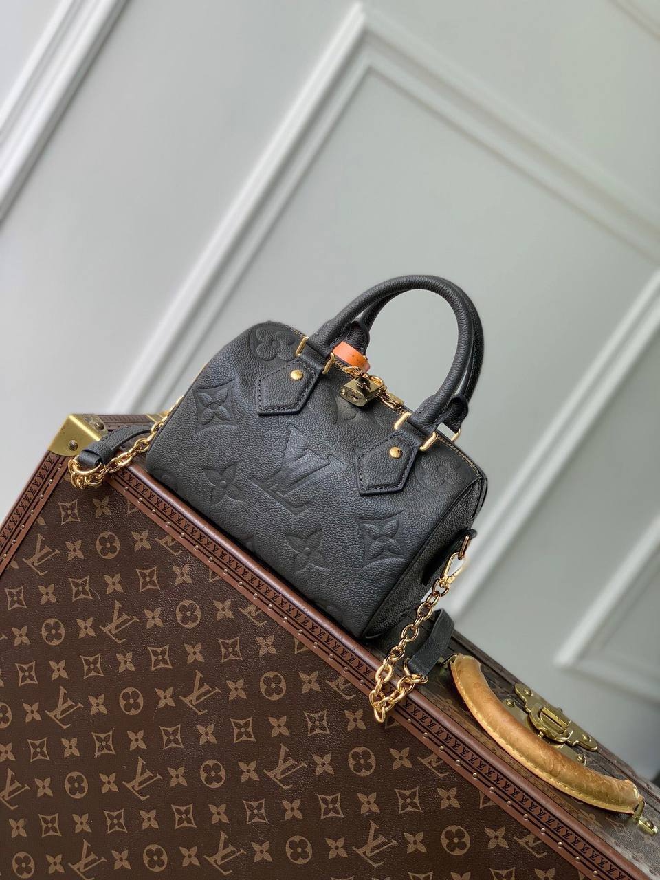 Сумка Louis Vuitton 1
