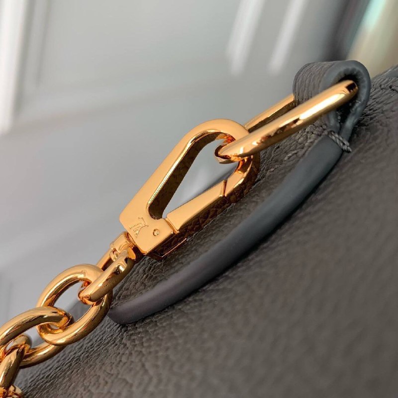 Сумка Louis Vuitton 5