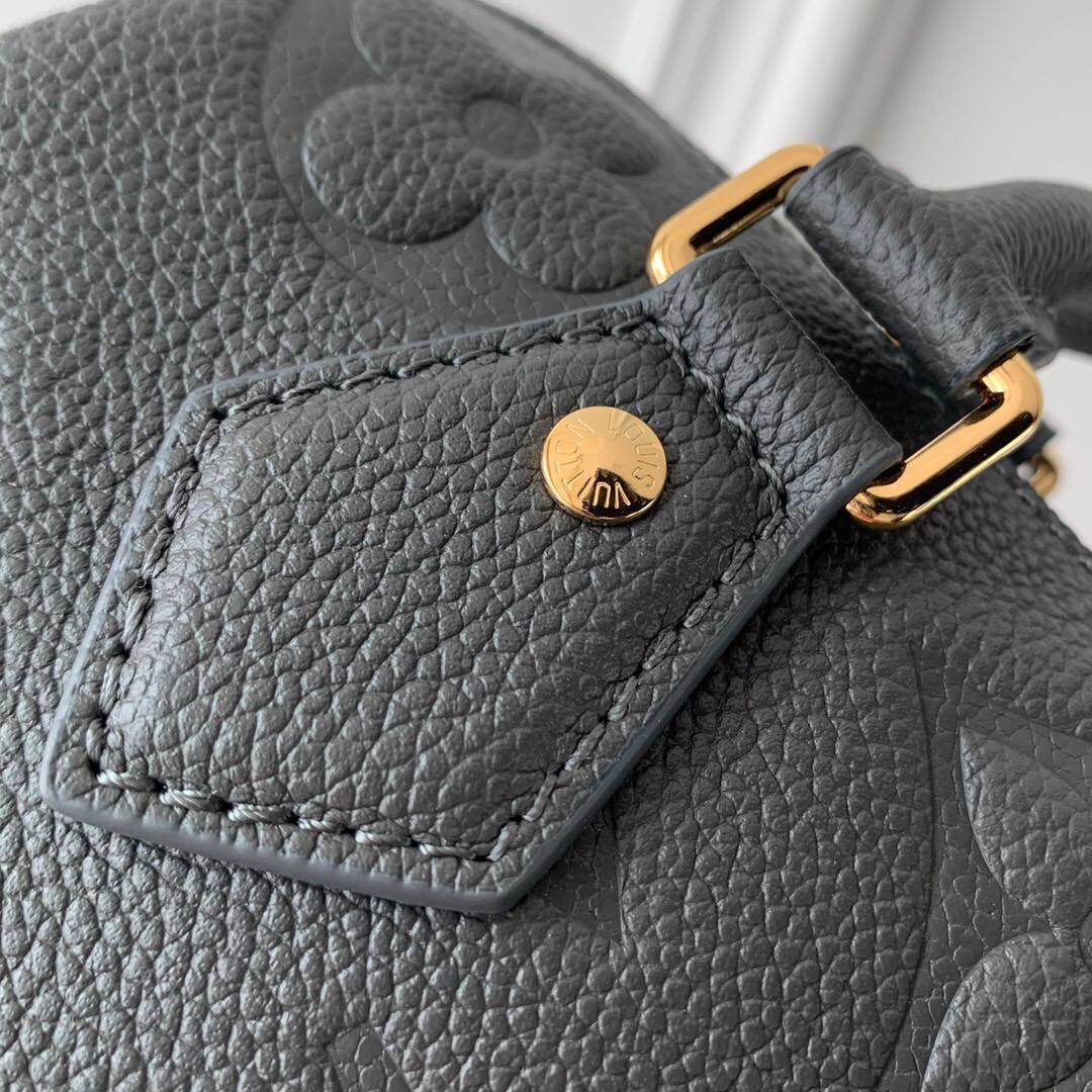 Сумка Louis Vuitton 6