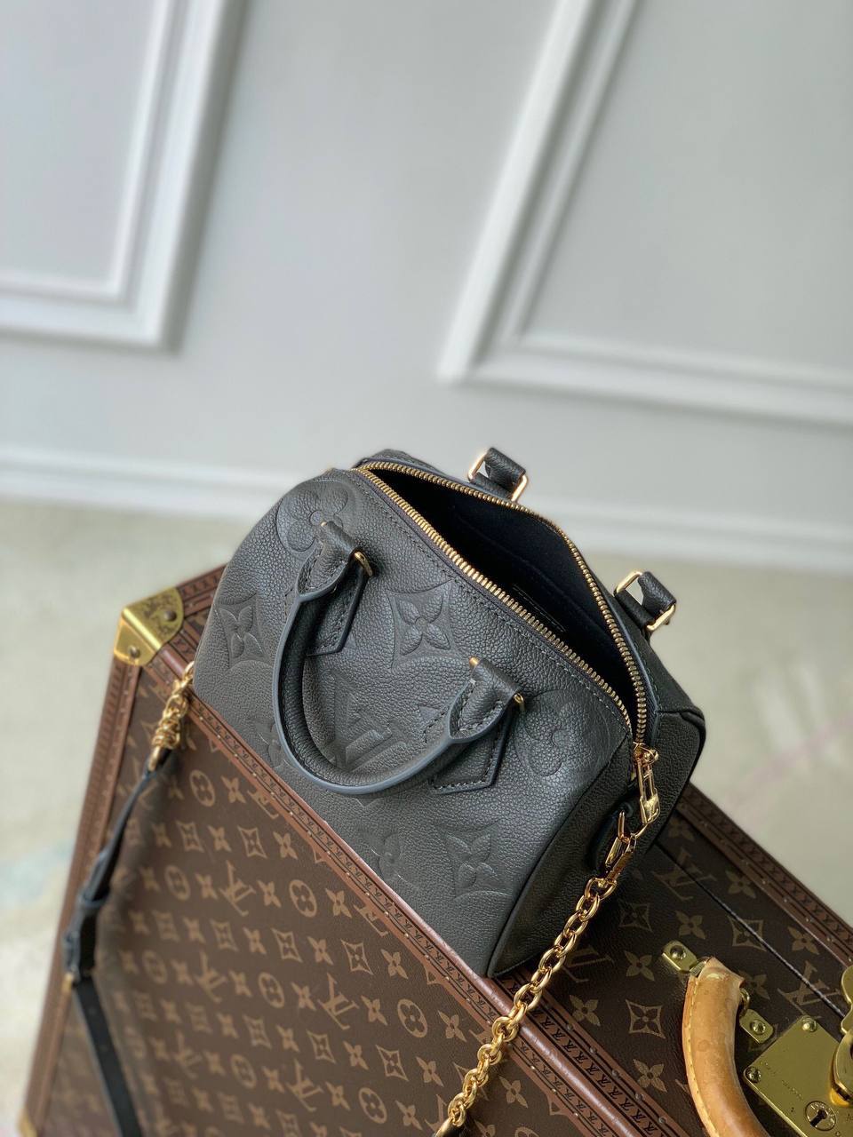 Сумка Louis Vuitton 8