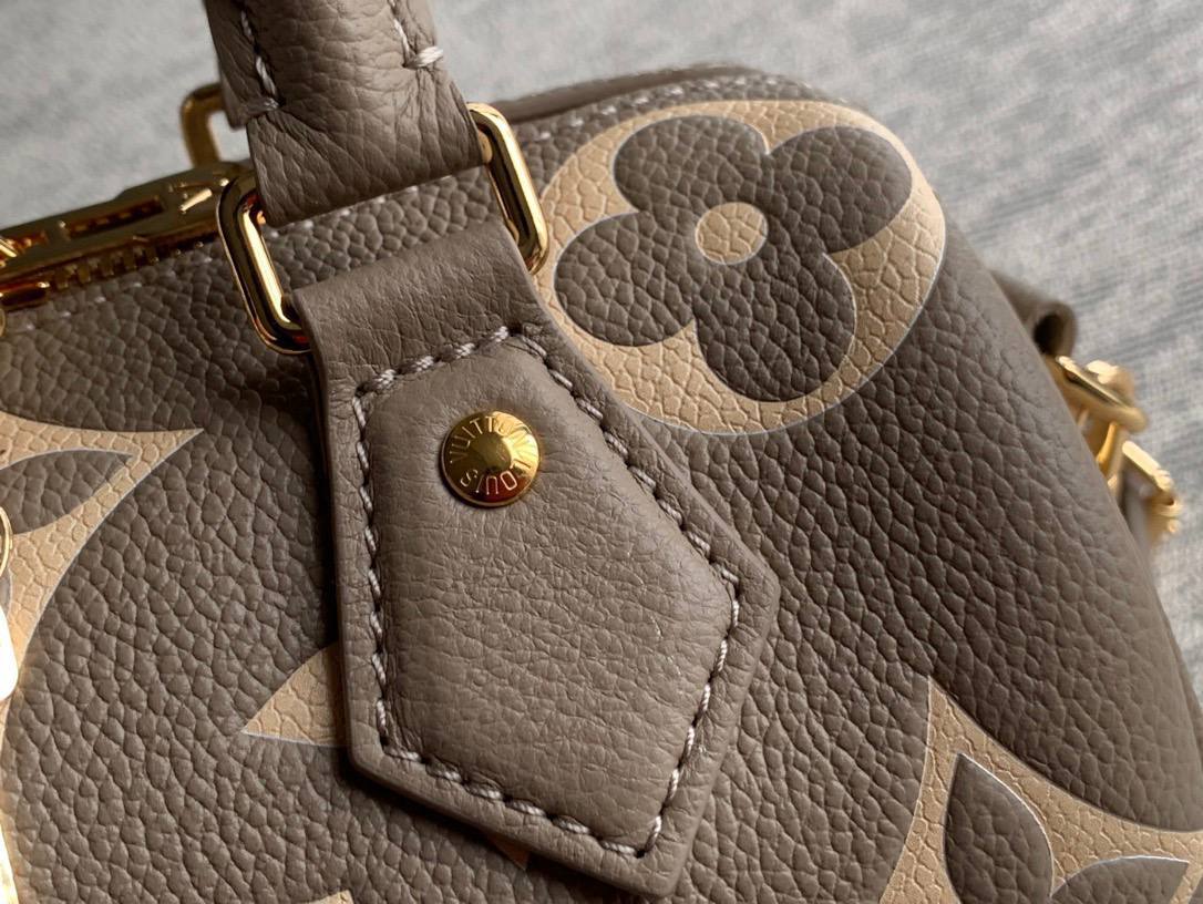 Сумка Louis Vuitton 4