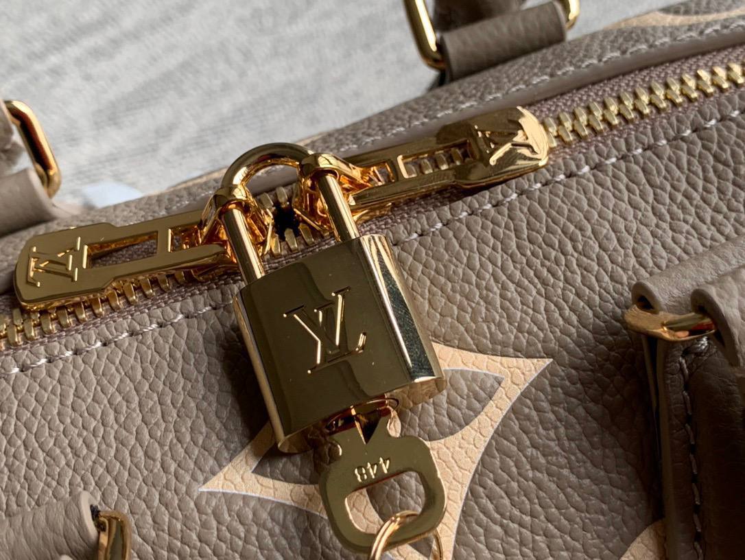 Сумка Louis Vuitton 5