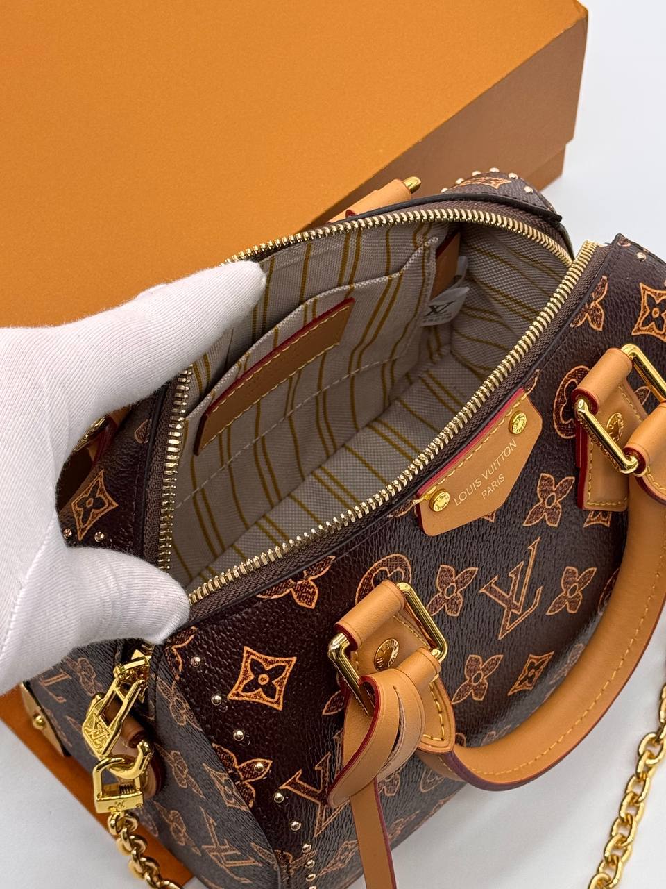 Сумка Louis Vuitton 6