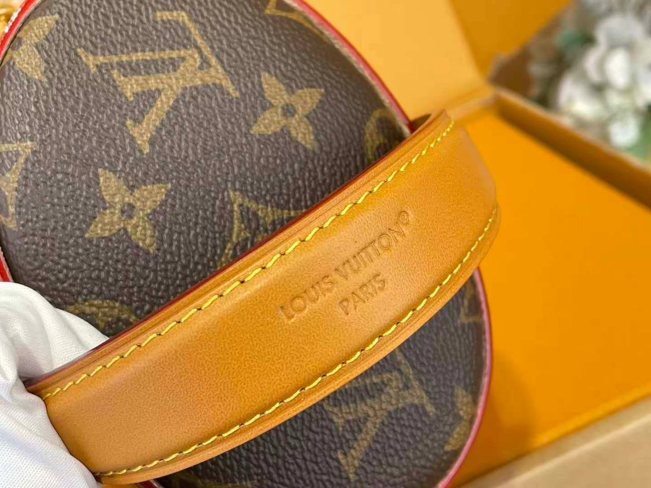 Сумка Louis Vuitton 6