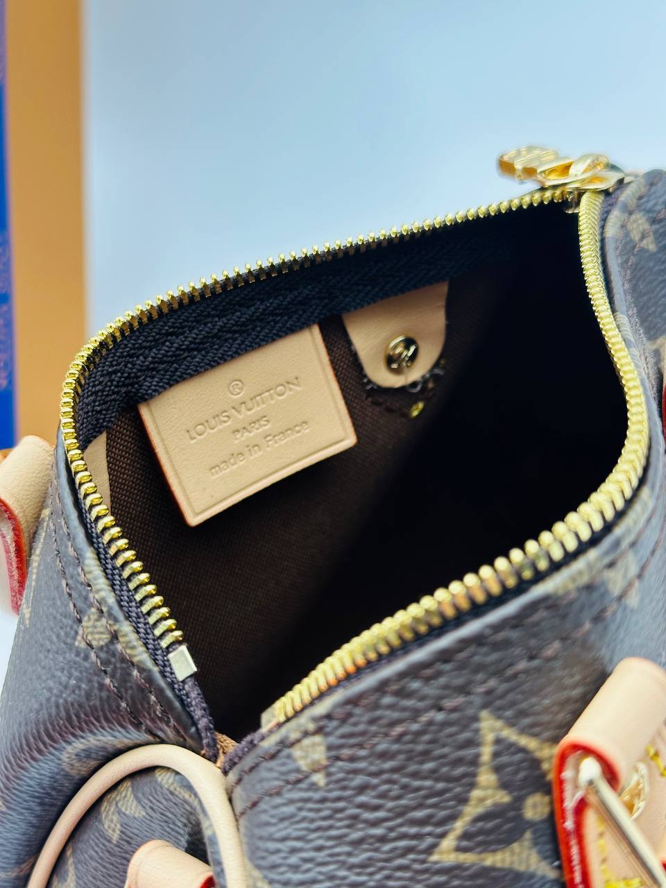 Сумка Louis Vuitton 6
