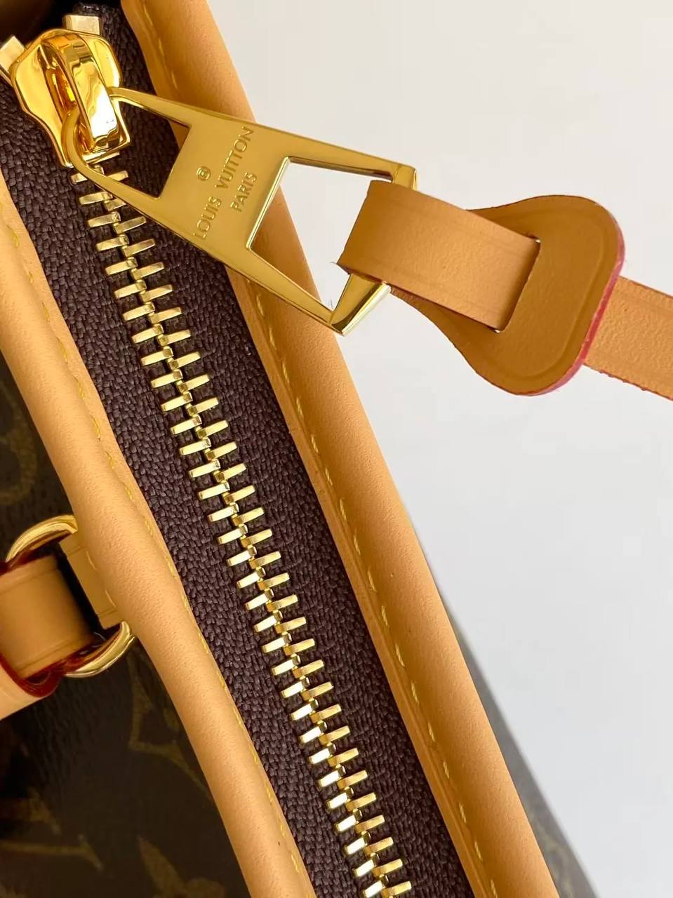 Сумка Louis Vuitton 5