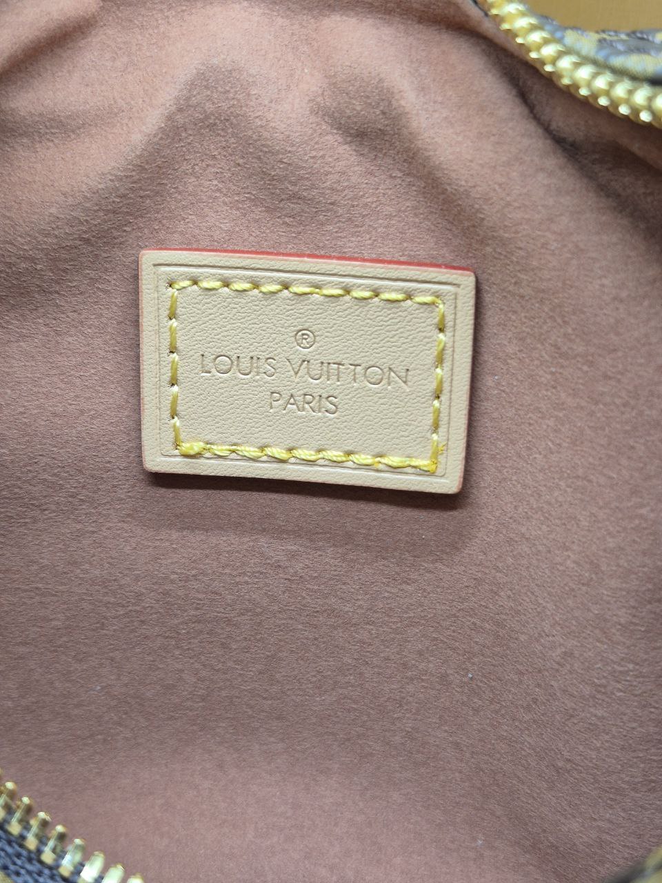 Сумка Louis Vuitton 6