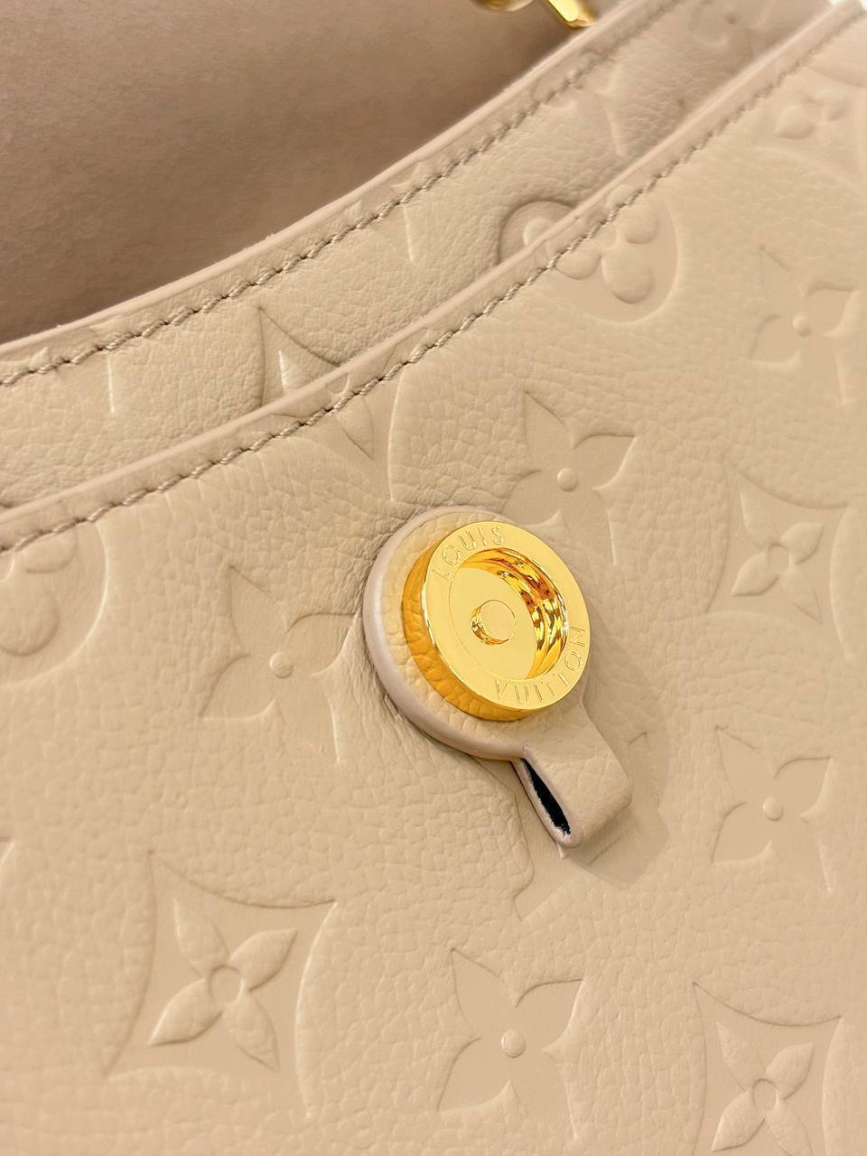 Сумка Louis Vuitton 6