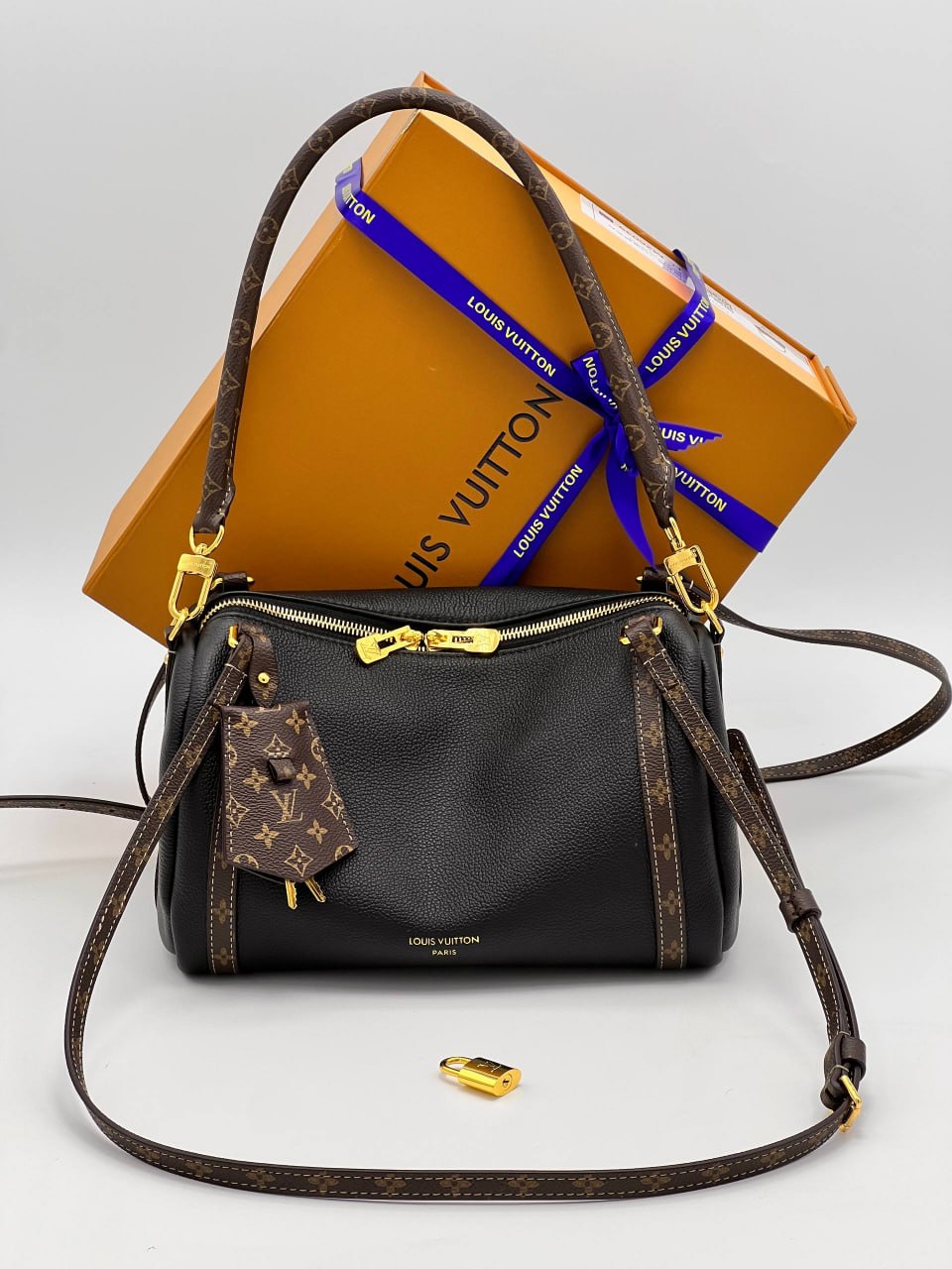 Сумка Louis Vuitton