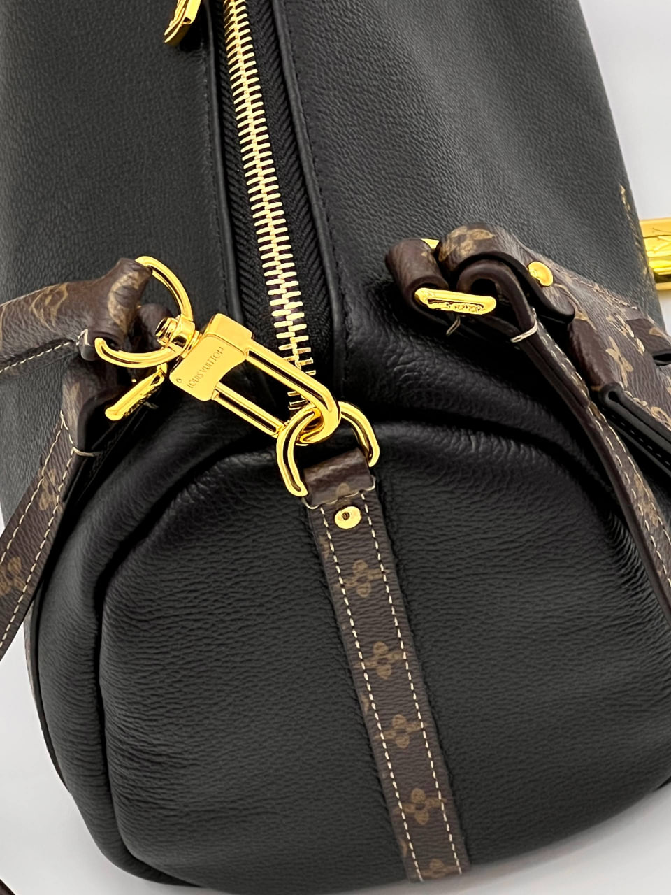 Сумка Louis Vuitton 6