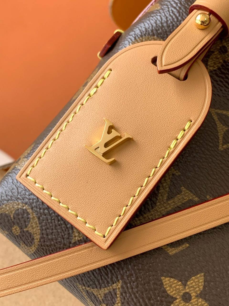 Сумка Louis Vuitton 3