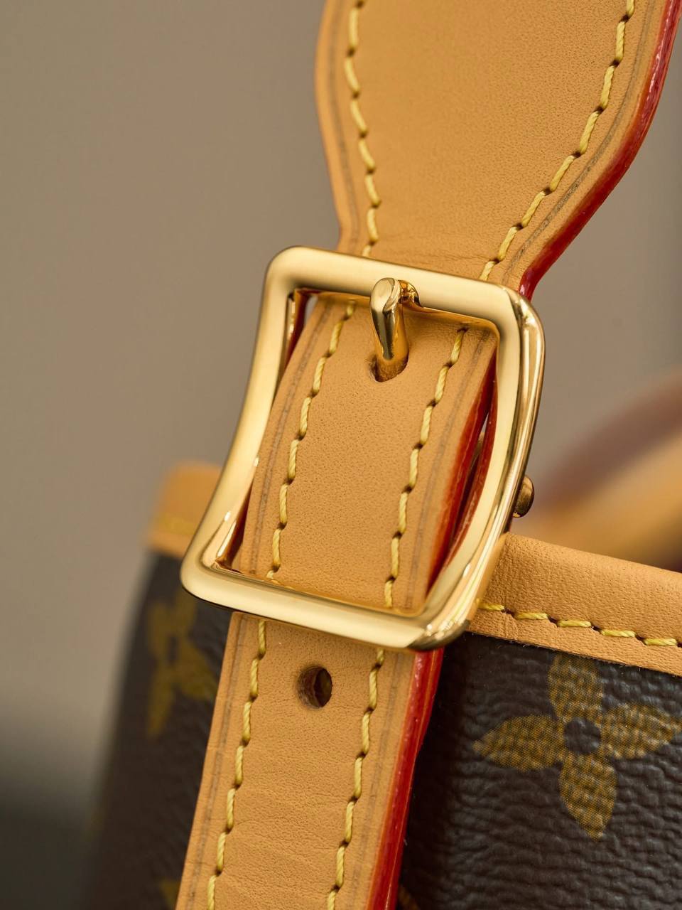 Сумка Louis Vuitton 4