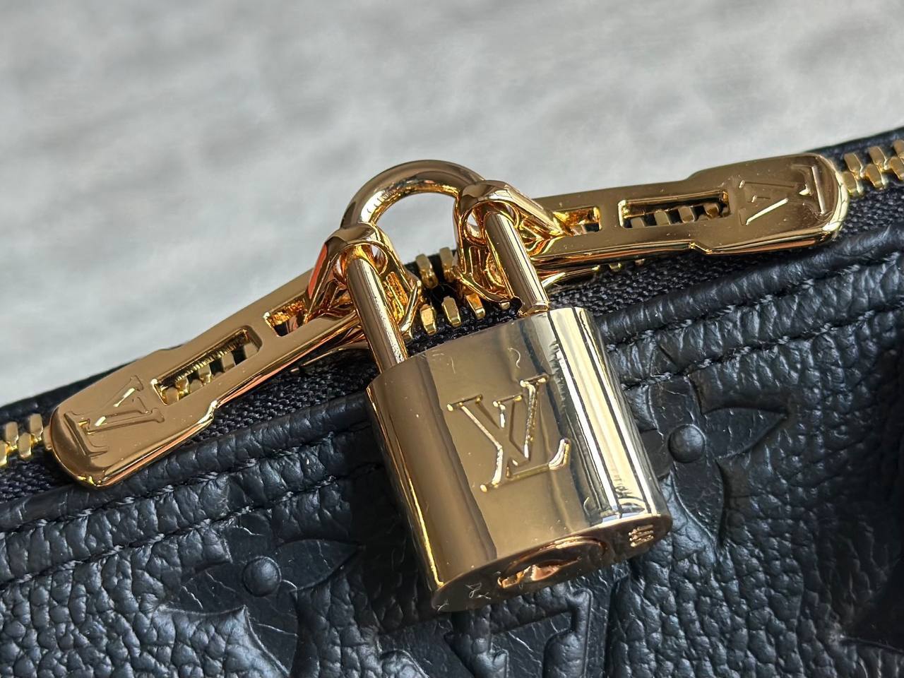 Сумка Louis Vuitton 5