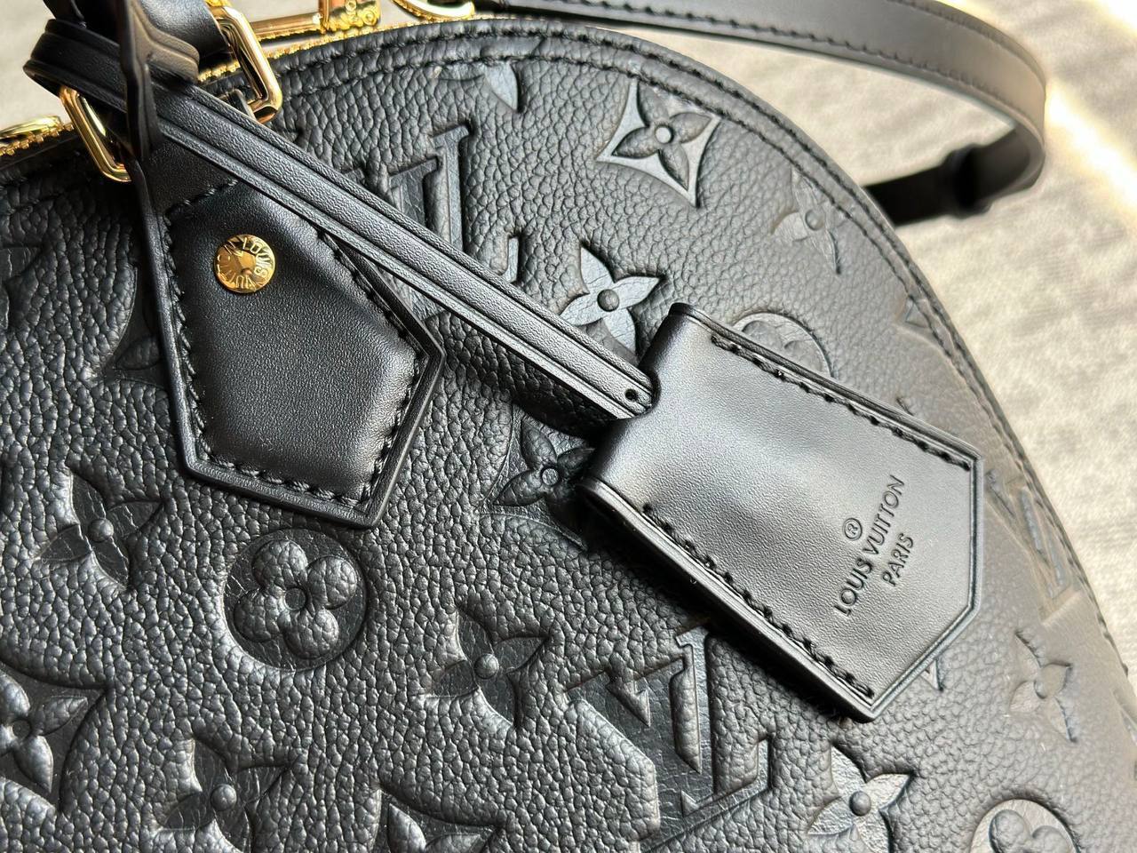 Сумка Louis Vuitton 6