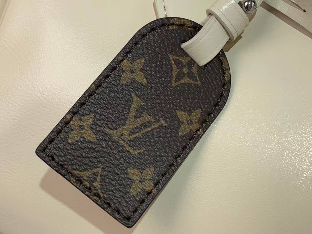 Сумка Louis Vuitton 6