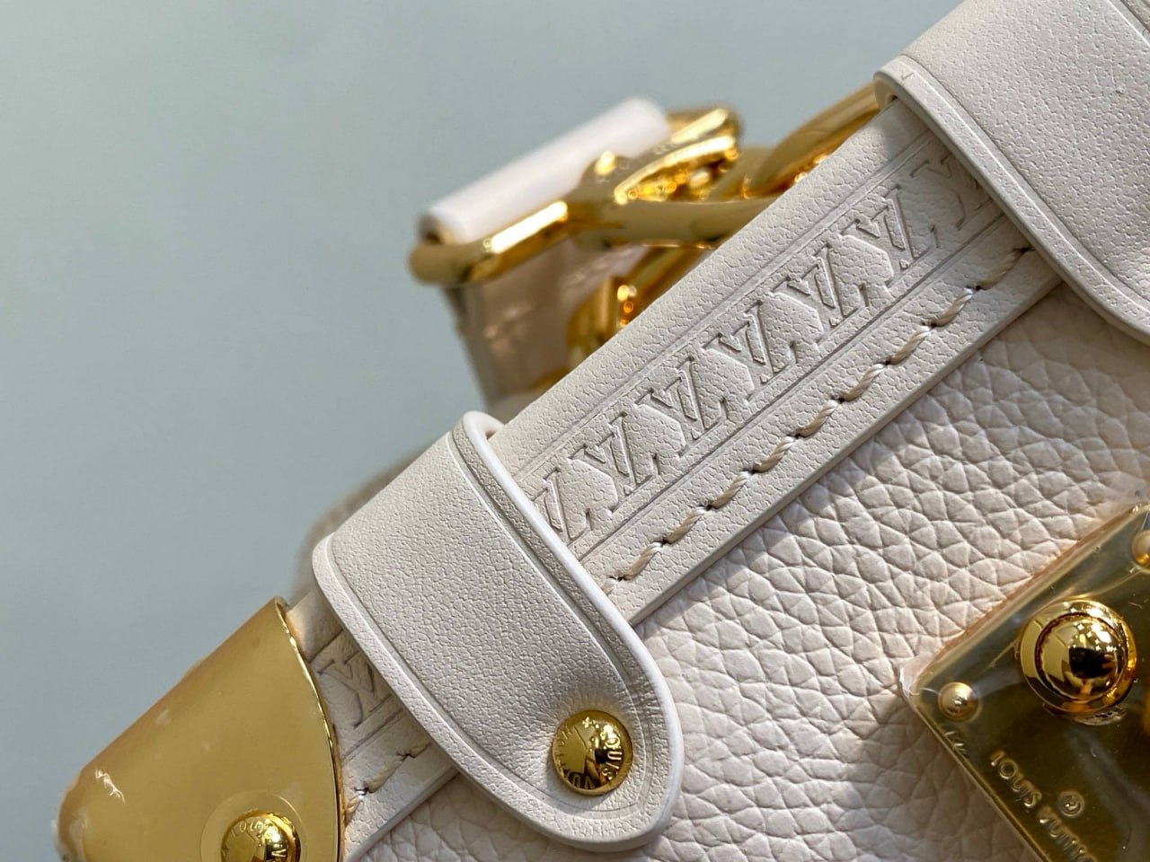 Сумка Louis Vuitton 5