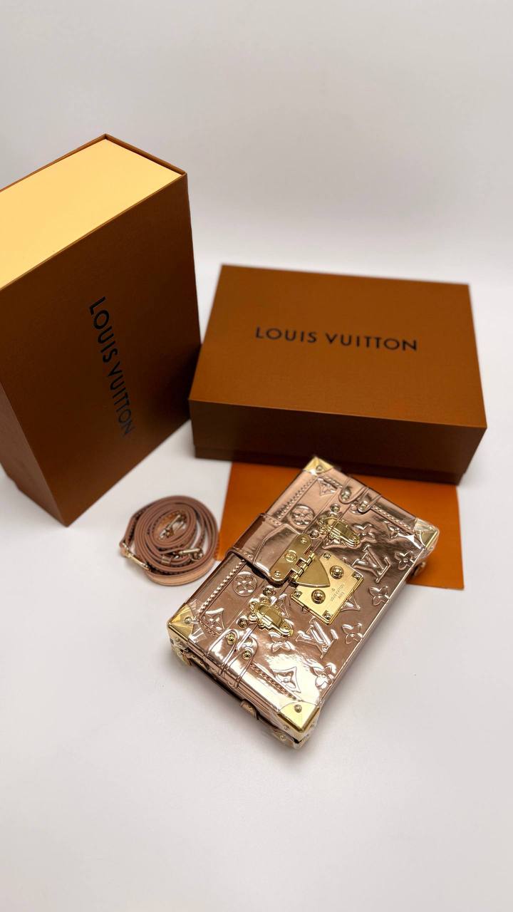 Сумка Louis Vuitton 6