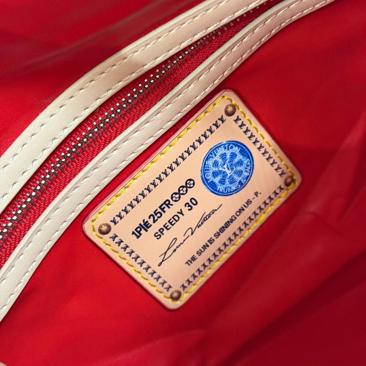 Сумка Louis Vuitton Speedy P9 Bandouliere 30 Jackets 7