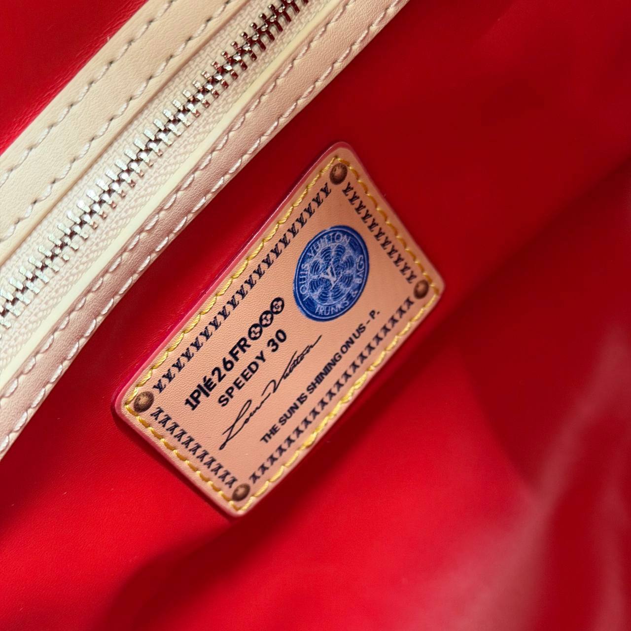 Сумка Louis Vuitton Speedy P9 Bandouliere 30 Scribble 7