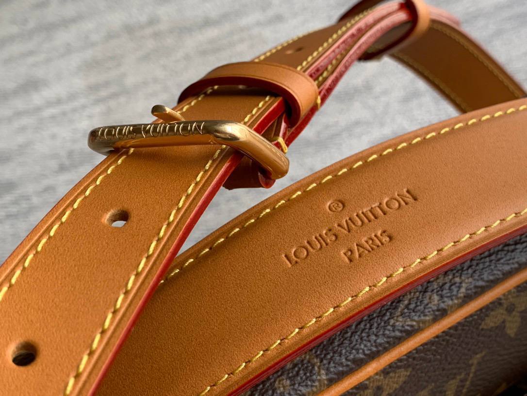 Сумка Louis Vuitton 5