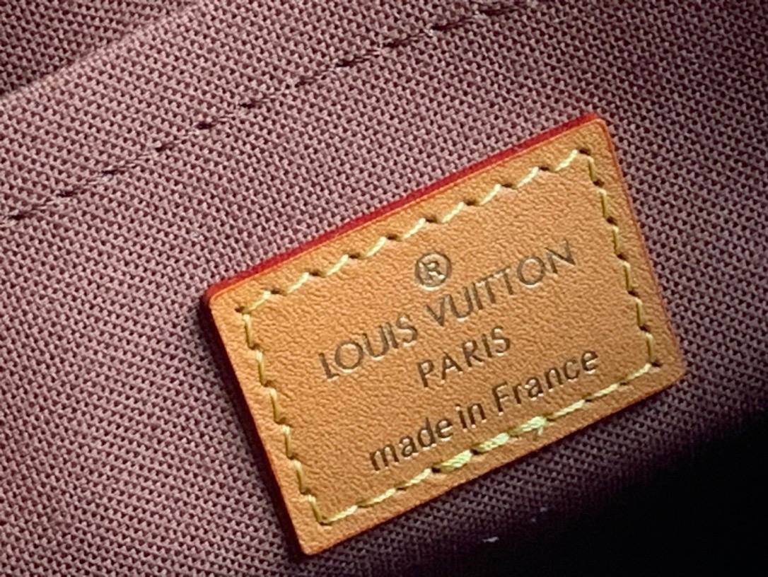 Сумка Louis Vuitton 8