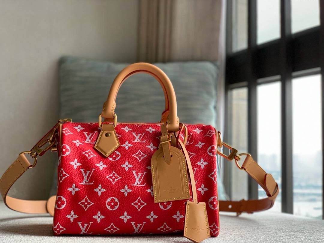 Сумка Louis Vuitton