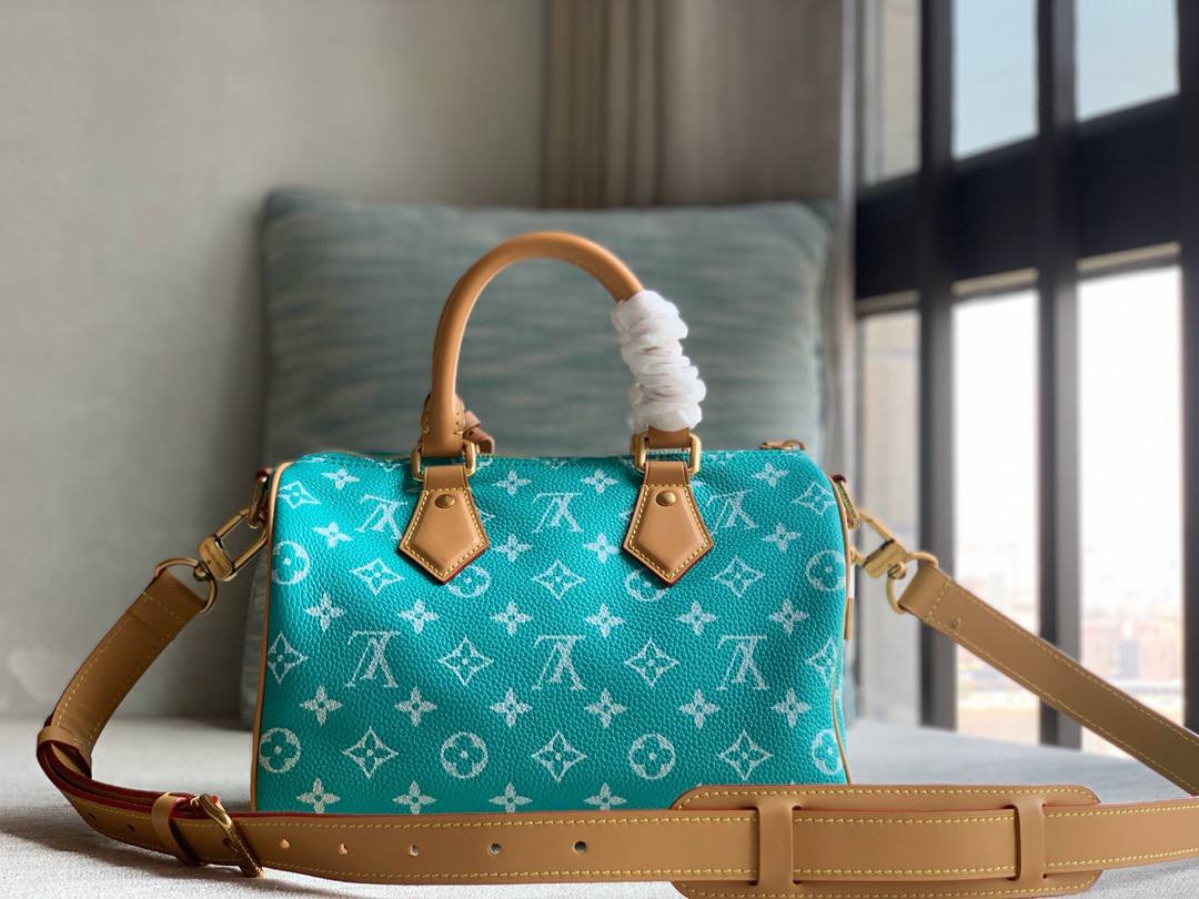 Сумка Louis Vuitton 4