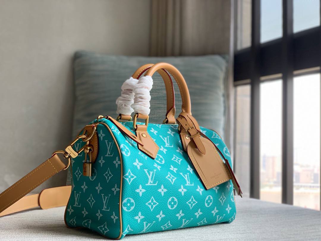 Сумка Louis Vuitton 5